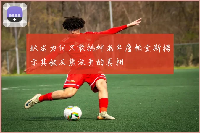 狄龙为何只敢挑衅老年詹帕金斯揭示其被灰熊放弃的真相